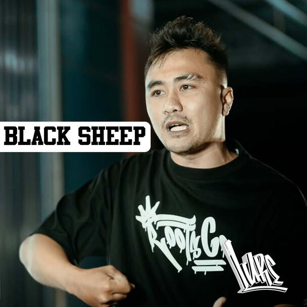 BLACK SHEEP